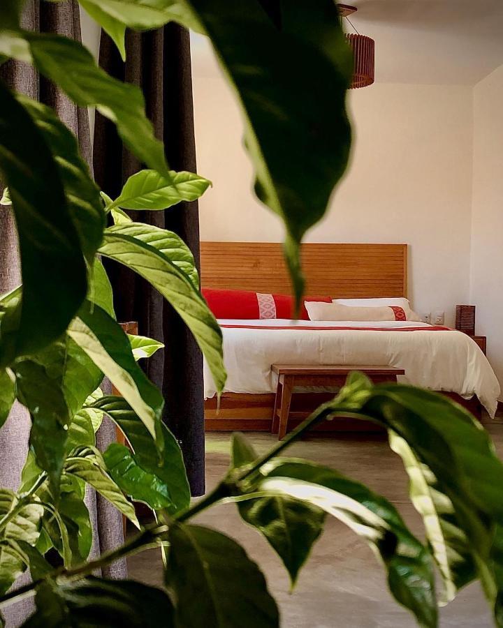 Hotel Casa Cafeologo San Cristóbal de Las Casas Esterno foto