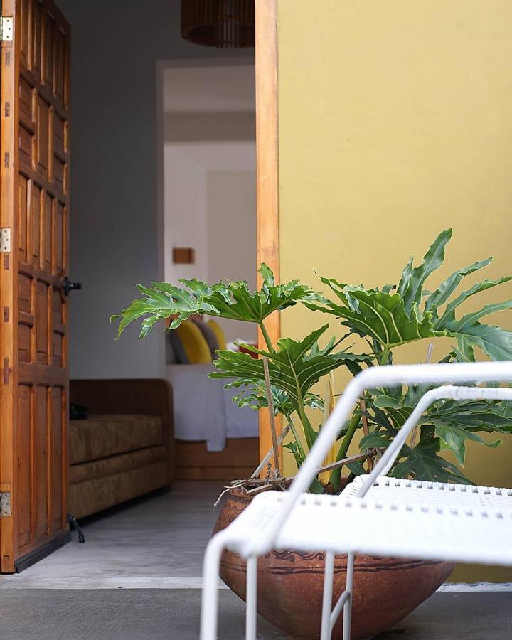 Hotel Casa Cafeologo San Cristóbal de Las Casas Esterno foto